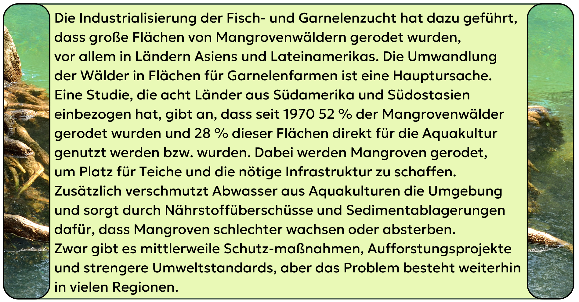 Abb. 13: mycelia gGmbH - Belastung der Seegraswiesen, Algenwälder und Mangrovenwälder durch Aquakultur - CC BY-SA.