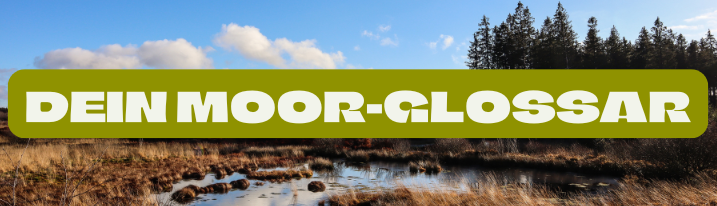 Abb. 39: mycelia gGmbH - Dein Moor-Glossar - canva.com/CC BY-SA.