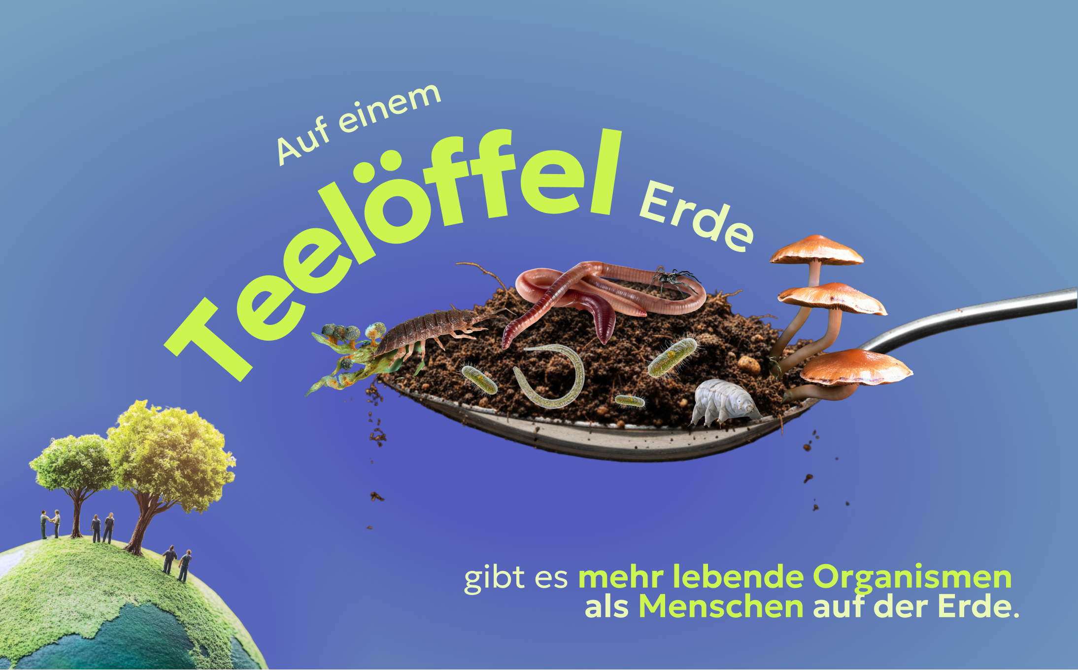 Abb. 4: mycelia gGmbH - Leben im Boden - CC BY-SA.
