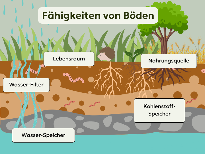 Abb. 7: mycelia gGmbH - Fähigkeiten von Böden - canva.com/CC BY-SA.