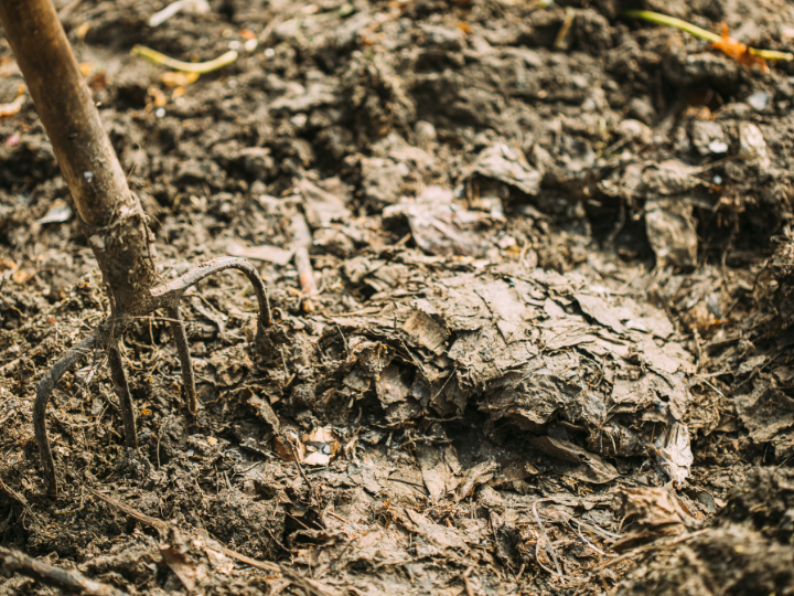 Abb. 36: Grisha Bruev - Pitchfork In Rotting Compost From Waste On Ground, Humus, Manure - canva.com.