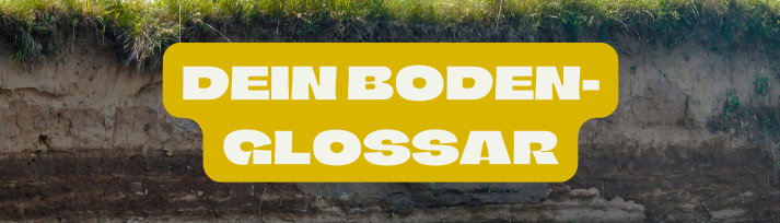 Abb. 43: mycelia gGmbH - Dein Boden-Glossar - canva.com/CC BY-SA.