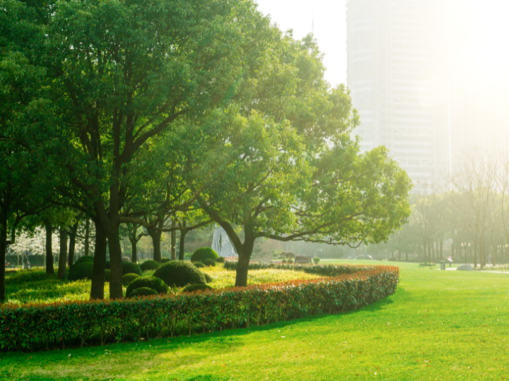 Abb. 7: xijian  - Grüner Park in einer Stadt - canva.com. 