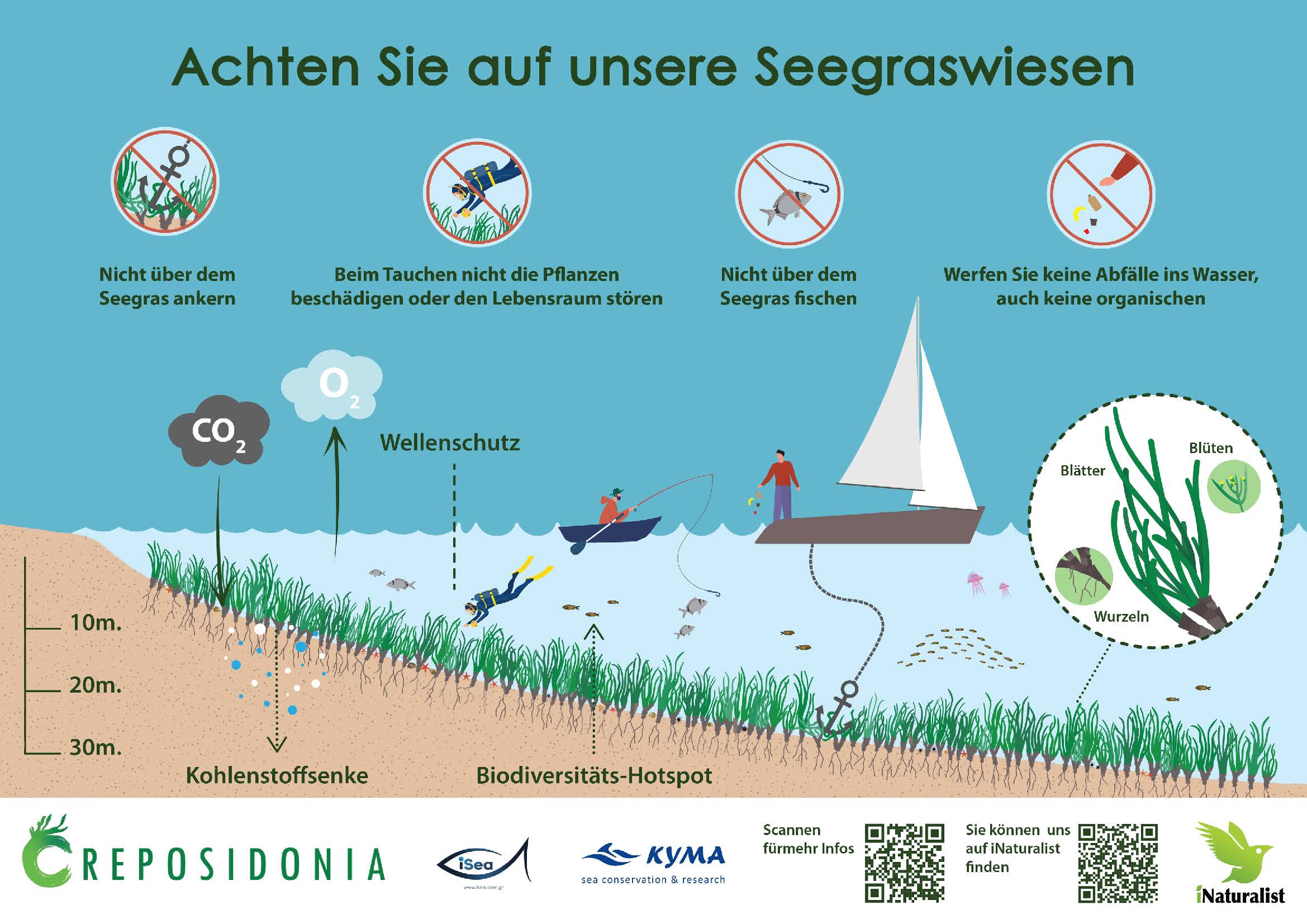 Abb. 25: KYMA - Achten Sie auf unsere Seegraswiesen - Individuelle Nutzungsgenehmigung.