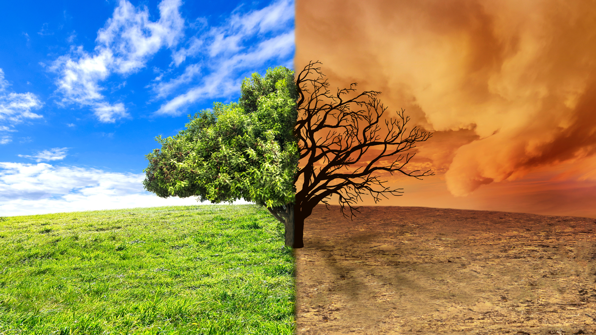Klimawandel