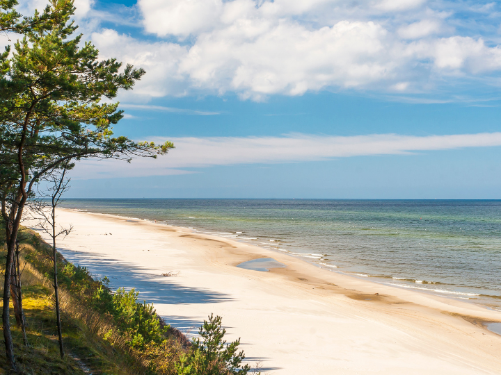 Abb. 6: LUKASZ_NOWAK1 - Küste an der Ostsee -canva.com. 