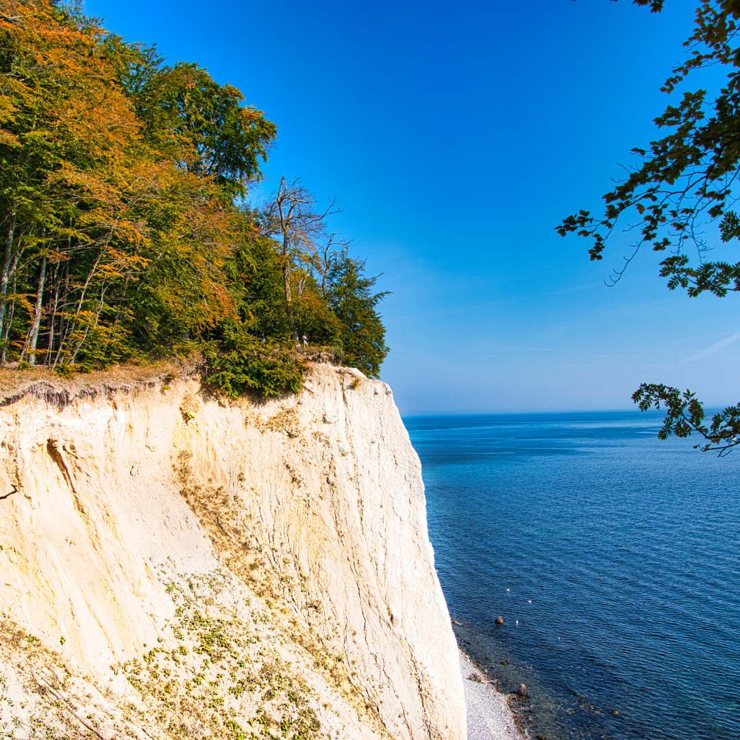Abb. 14: HPS-Digitalstudio - Kreidefelsen Rügen - canva.com.