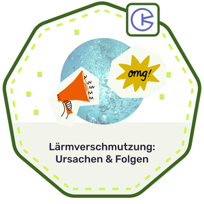 Badge Lärmverschmutzung